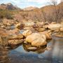 Sabino Canyon