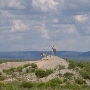 Seligman Landscape