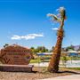 Bullhead City - Ken Fovargue Park