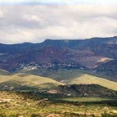 Mingus Mountain