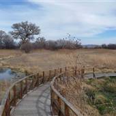 Buenos Aires National Refuge - Arivaca Cienega
