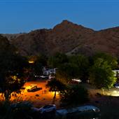 Cattail Cove