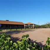 Bruzzi Vineyard