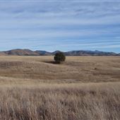 San Rafael Valley