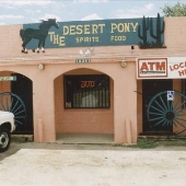The Desert Pony
