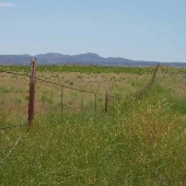 Seligman Landscape