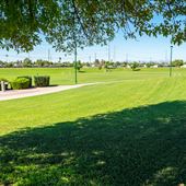 Palo Verde Park