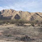 Triangle T Guest Ranch