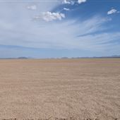 Willcox Playa