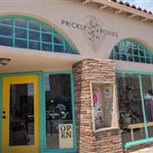 Prickly Posies Flower Shop