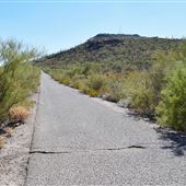 Tumamoc Hill