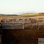 CO Bar Ranch