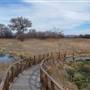 Buenos Aires National Refuge - Arivaca Cienega