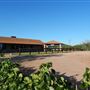 Bruzzi Vineyard