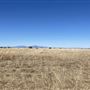 Vera Earl Ranch