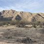 Triangle T Guest Ranch