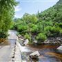 Sabino Canyon