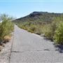 Tumamoc Hill