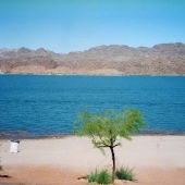 Colorado River (Parker, AZ)