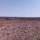 Gila Bend