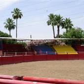 Rodeo Arenas - Phoenix