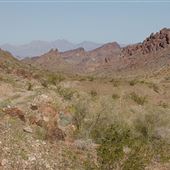 Lake Havasu - SARA Park