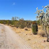 Honey Bee Canyon