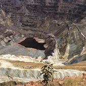 The Lavender Pit