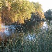 Sweetwater Wetlands Park