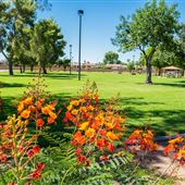 Jefferson Park