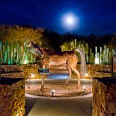 Tohono Chul Park