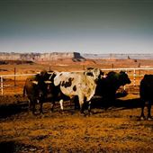 K.E.Y Ranch