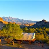 Conestoga Wagon at SW Eden Ranch