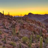 Tucson Mountain Park