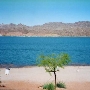 Colorado River (Parker, AZ)