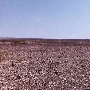 Gila Bend