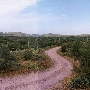 Peralta Trail