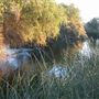 Sweetwater Wetlands Park