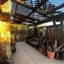 BeDillon`s Restaurant and Cactus Garden
