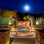Tohono Chul Park