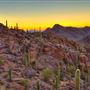 Tucson Mountain Park