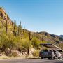 Sabino Canyon