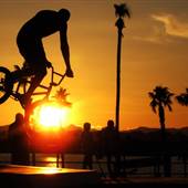 Tinnell Skatepark