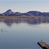 Alamo Lake State Park