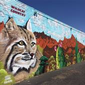 Mural - Wildcat Country