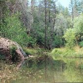 Tonto National Forest - Payson Ranger District