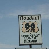 Roadkill Cafe & OK Saloon