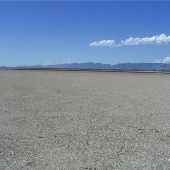 Willcox Playa Wildlife Area