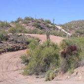Wickenburg Roads