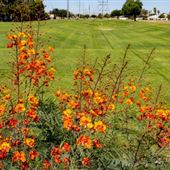 Valencia Park